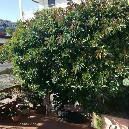 Bed and breakfast Bruna